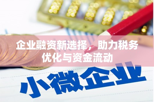 内埔企业融资新选择，助力税务优化与资金流动
