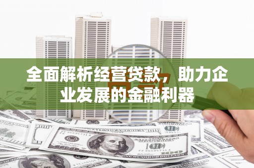 闵行全面解析经营贷款，助力企业发展的金融利器