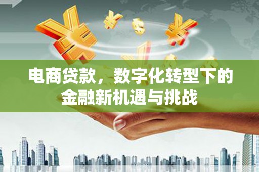 遂宁电商贷款，数字化转型下的金融新机遇与挑战