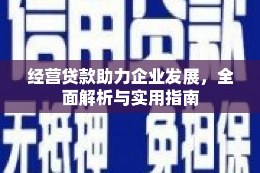 岱岳经营贷款助力企业发展，全面解析与实用指南