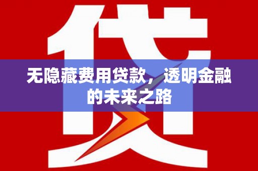 山阳无隐藏费用贷款，透明金融的未来之路