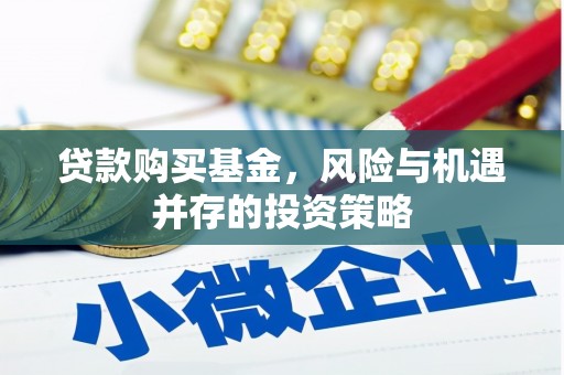 深坑贷款购买基金，风险与机遇并存的投资策略