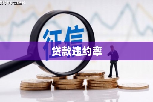 南票贷款违约率