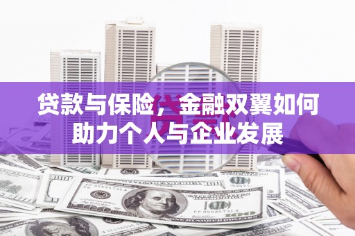 巴青贷款与保险，金融双翼如何助力个人与企业发展