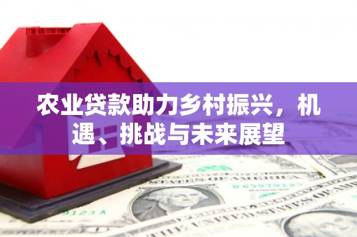 南海农业贷款助力乡村振兴，机遇、挑战与未来展望