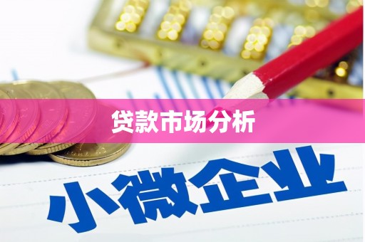 全南贷款市场分析