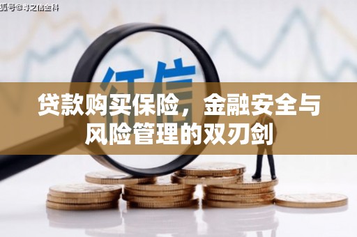 昂昂溪贷款购买保险，金融安全与风险管理的双刃剑