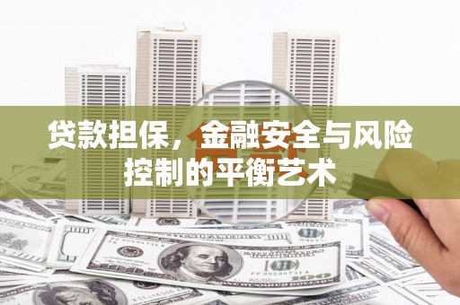 茂林贷款担保，金融安全与风险控制的平衡艺术