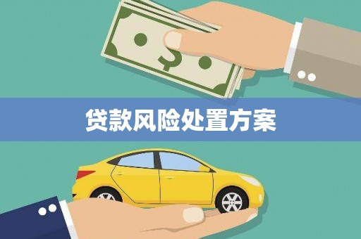 阳高贷款风险处置方案