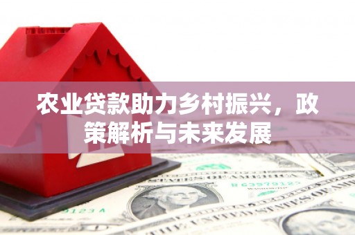 沙洋农业贷款助力乡村振兴，政策解析与未来发展