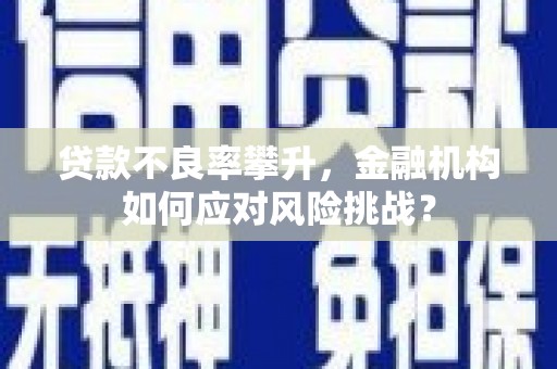 攀枝花贷款不良率攀升，金融机构如何应对风险挑战？