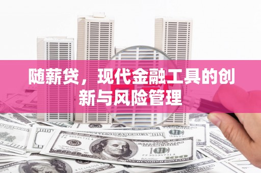 后里随薪贷，现代金融工具的创新与风险管理