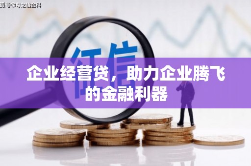 港闸企业经营贷，助力企业腾飞的金融利器