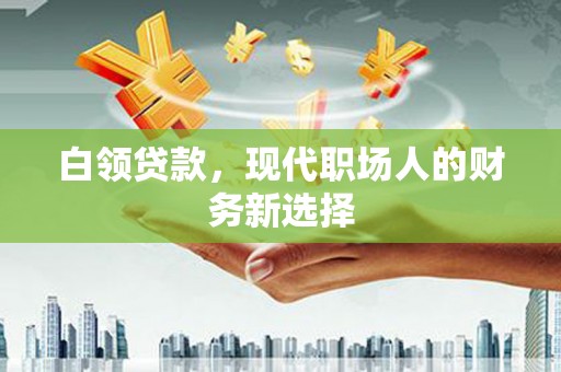 驻马店白领贷款，现代职场人的财务新选择
