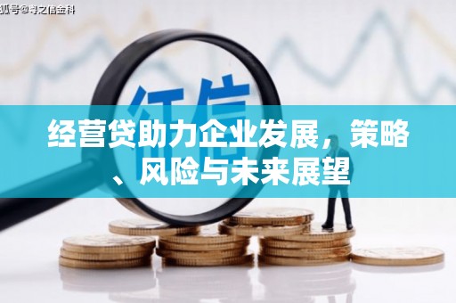 海东经营贷助力企业发展，策略、风险与未来展望