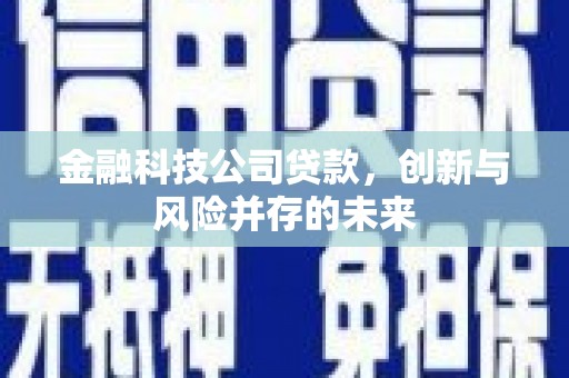 广宗金融科技公司贷款，创新与风险并存的未来