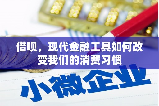 浑源借呗，现代金融工具如何改变我们的消费习惯