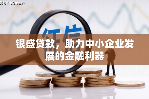 进贤银盛贷款，助力中小企业发展的金融利器