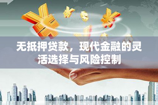 海盐无抵押贷款，现代金融的灵活选择与风险控制