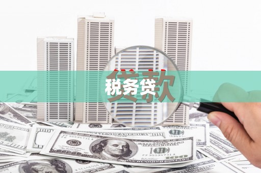 渭源税务贷