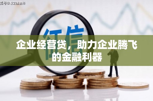 龙潭企业经营贷，助力企业腾飞的金融利器