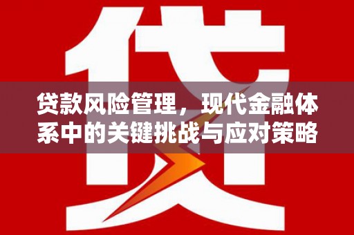 深圳贷款风险管理，现代金融体系中的关键挑战与应对策略
