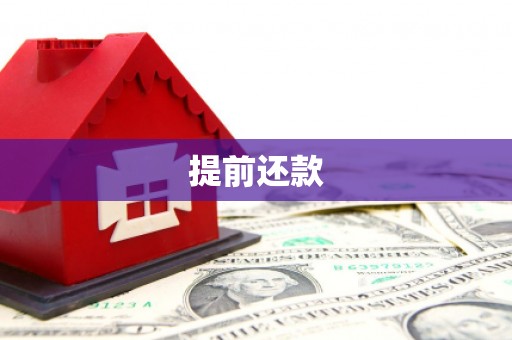 西林提前还款