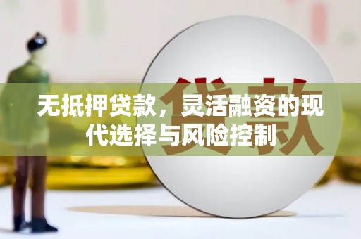 魏县无抵押贷款，灵活融资的现代选择与风险控制