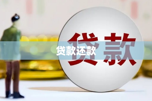 定海贷款还款