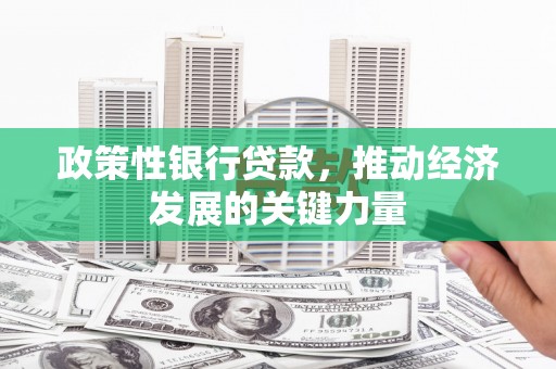 东胜政策性银行贷款，推动经济发展的关键力量