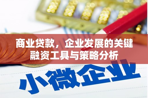 乌尔禾商业贷款，企业发展的关键融资工具与策略分析