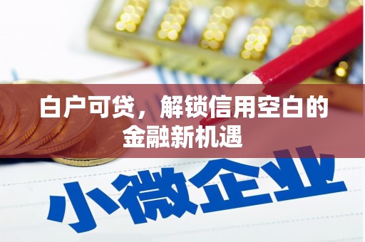 秀林白户可贷，解锁信用空白的金融新机遇