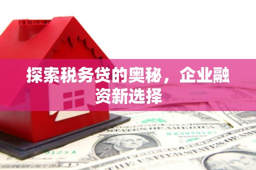 云龙探索税务贷的奥秘，企业融资新选择