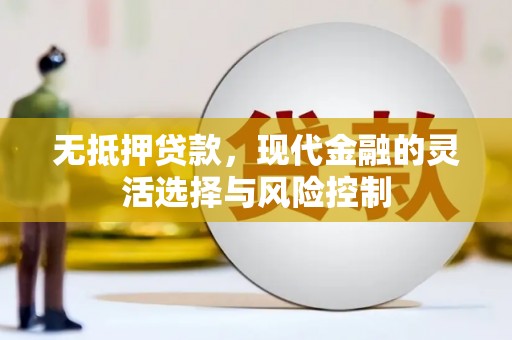 雁江无抵押贷款，现代金融的灵活选择与风险控制