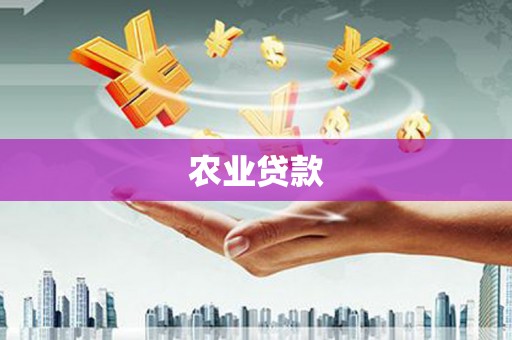 华容农业贷款