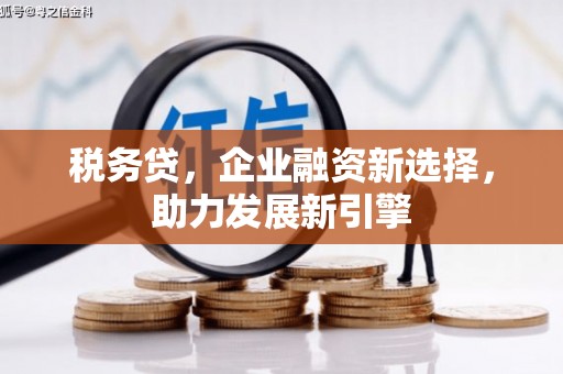 中国香港税务贷，企业融资新选择，助力发展新引擎