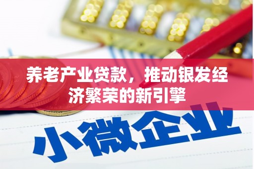柳营养老产业贷款，推动银发经济繁荣的新引擎