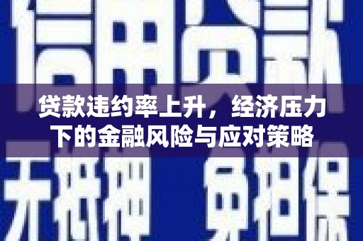 颍泉贷款违约率上升，经济压力下的金融风险与应对策略