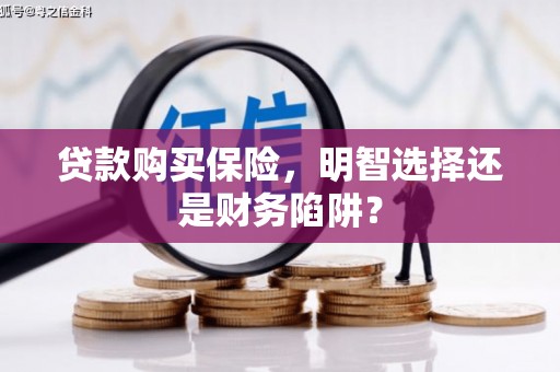 桃城贷款购买保险，明智选择还是财务陷阱？