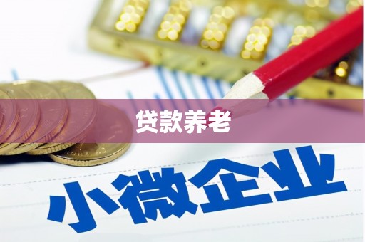 江安贷款养老