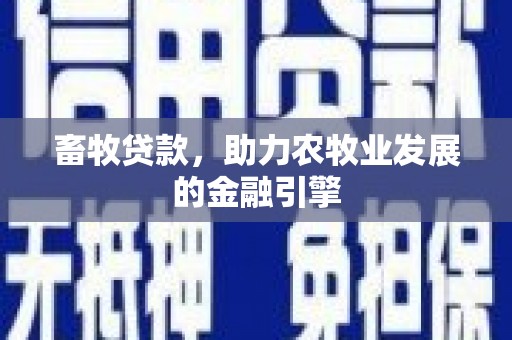 城中畜牧贷款，助力农牧业发展的金融引擎