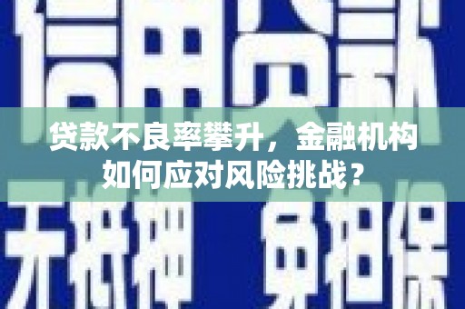 浑南贷款不良率攀升，金融机构如何应对风险挑战？