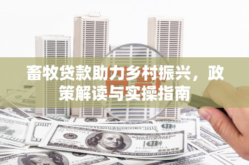 大武畜牧贷款助力乡村振兴，政策解读与实操指南