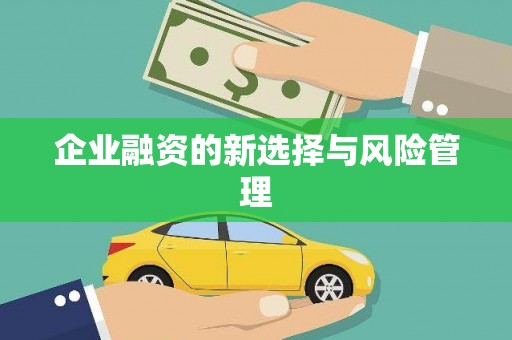 叶县企业融资的新选择与风险管理