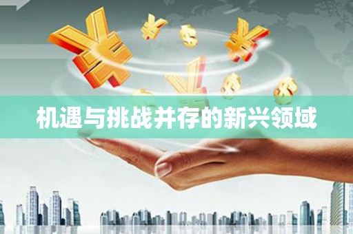 从江机遇与挑战并存的新兴领域