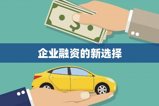 圣方济各堂区企业融资的新选择