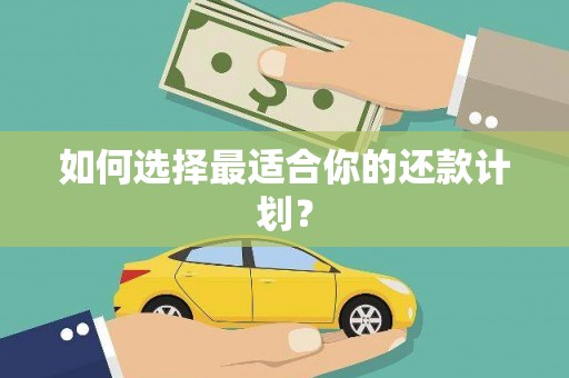 临沧如何选择最适合你的还款计划？